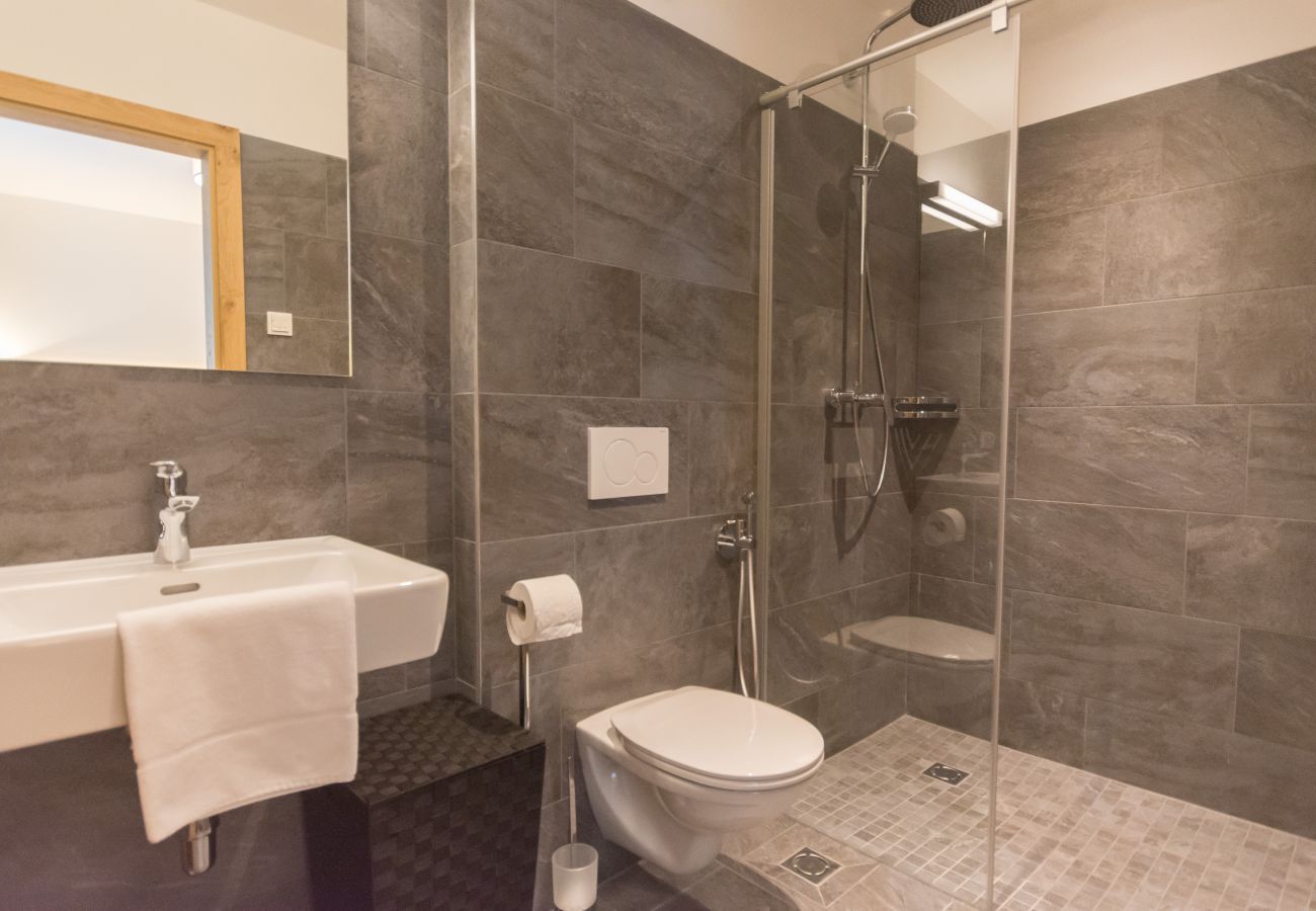 Ferienwohnung in Zell am See - SR, Top 2 - Ap. 69m² mit 2 SZ, Terrasse 15m²