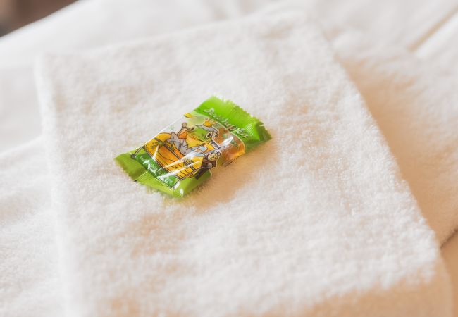 Ferienwohnung in Zell am See - SR, Top 14 - Ap. 87m² mit 2 SZ, Balkon 18m² Ferienwohnung in Zell am See - SR, Top 14 - Ap. 87m² mit 2 SZ, Balkon 18m²